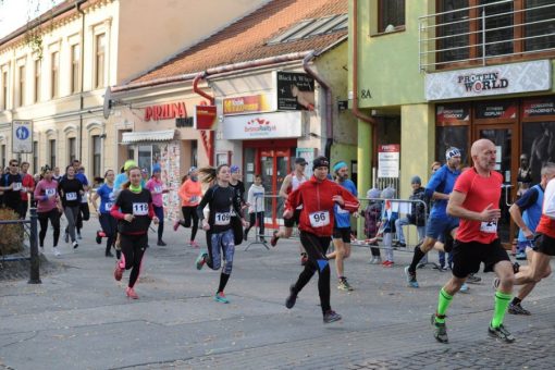 HoryZonty 2018