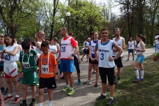 memjozkokona 2015 rep