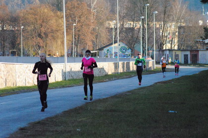 toplansky2016 gal2