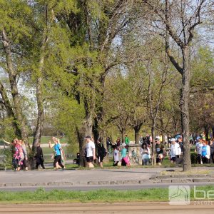 CSOB BMA 2017 TRAT ALL 1