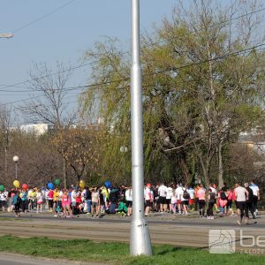 CSOB BMA 2017 TRAT ALL 2