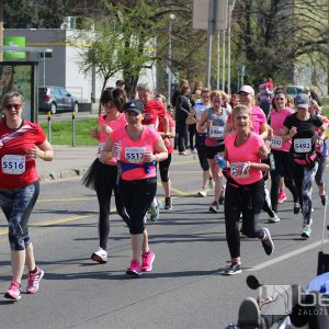 CSOB BMA 2017 TRAT ALL 213