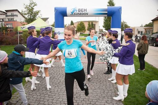 behsusedov rep2017