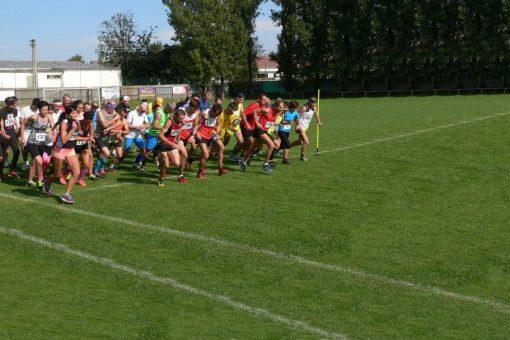 krupa2017 pozv