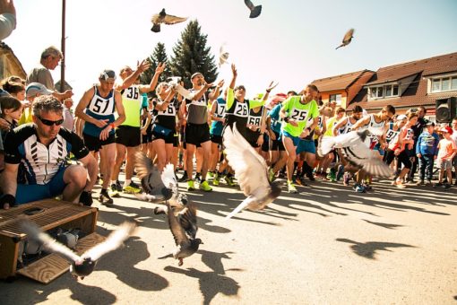 chtelnica2018 1 tit