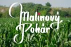 logo malinovy pohar