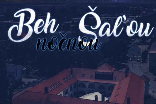 Beh nočnou Šaľou 2019