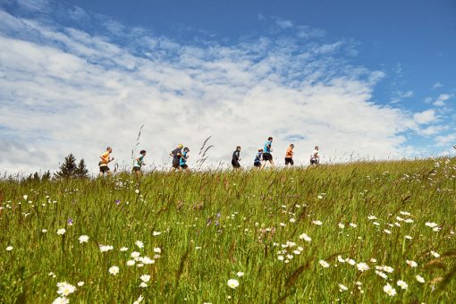 GALERIA_VYSOCINA-2020-TITLE