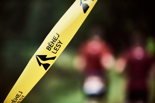 Behej lesy Brdy 2020