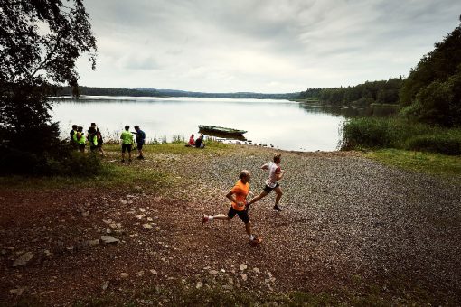 behejlesy_brdy_title