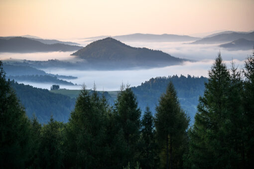 FESTIVAL BIEGOWY TITLE 3