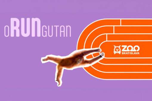 oRUNgutan