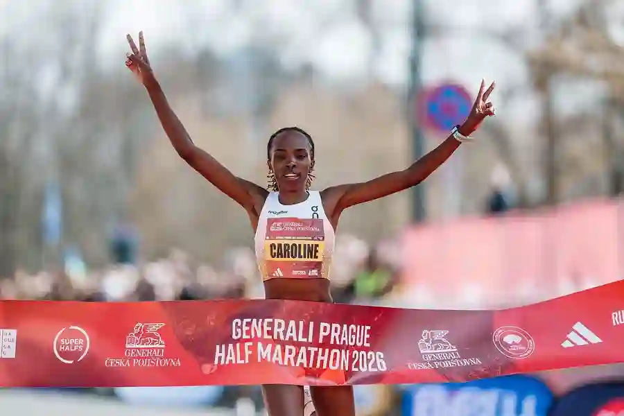 0cd55d8d f02d 469d 8fbd 926665aa8c7c