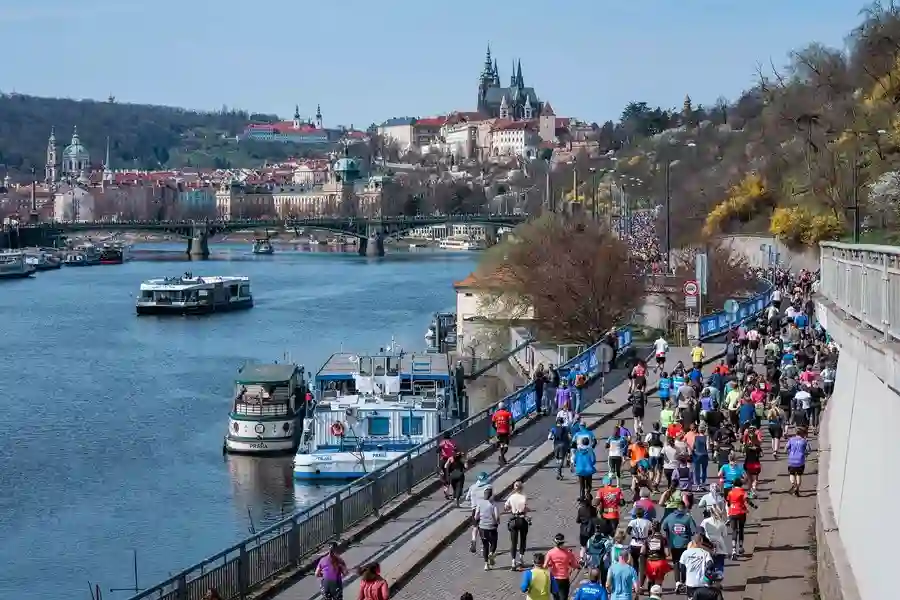 53e2442d 2fe6 4090 a000 3b5ef06c169d