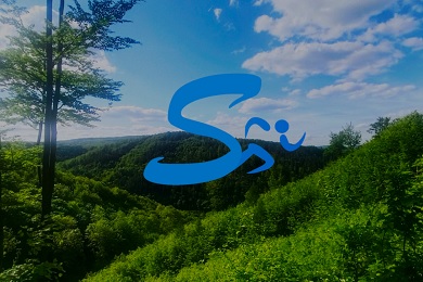 Logo behu: Moravská sázava