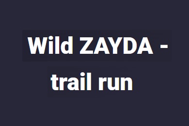 Logo behu: Wild Zayda - trail run