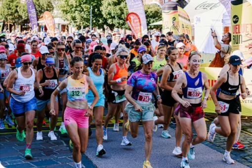 VELVET RUN TITLE kopie