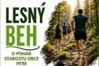 logo lesny hybe